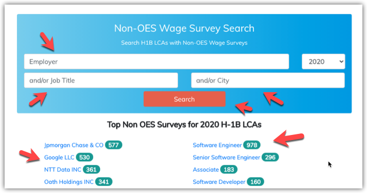 Search options for Non OES Wage Survey Search for H1B LCAs